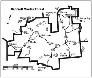 bancroft minden forest map