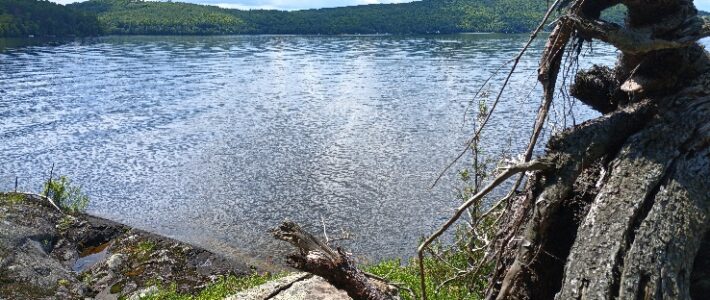Protecting Our Lake:  What Can Homeowners Do?